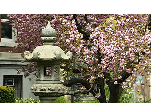 Columbia University, Morningside Campus, Spring, Japanese Lanterns near Earl Hall